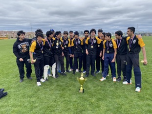 Cricket Champions